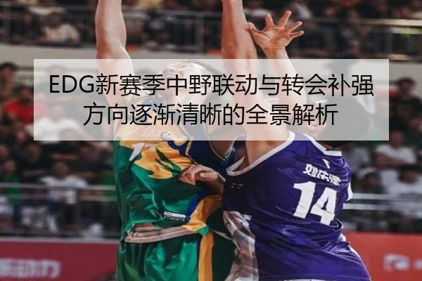 EDG新赛季中野联动与转会补强方向逐渐清晰的全景解析